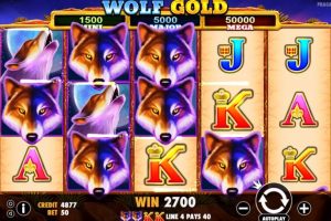 Wolf-Gold-Gokkast-win