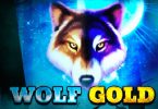 wolf-gold