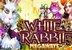 white rabbit слот